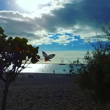 Casa Sonny * 로스크리스티아노스