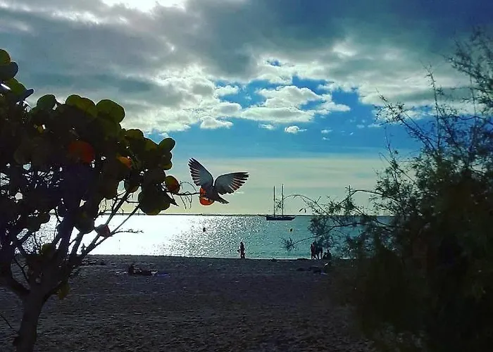 Casa Sonny * Los Cristianos (Tenerife)