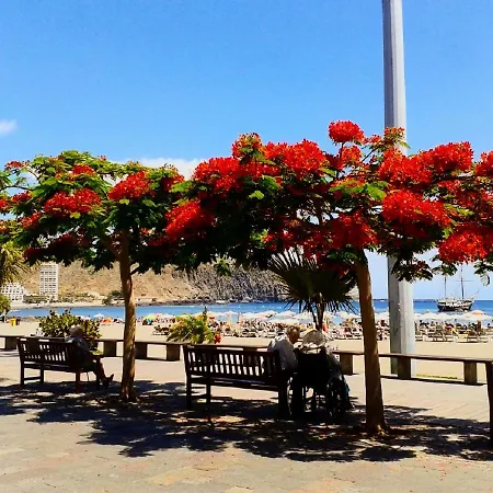 Casa Sonny Los Cristianos (Tenerife)