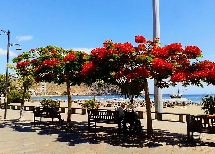 Casa Sonny لوس كريستيانوس